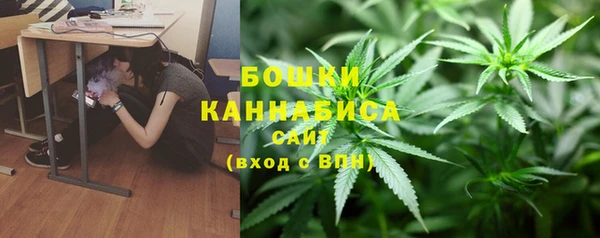 шишки Гусиноозёрск