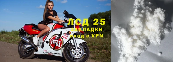 шишки Гусиноозёрск