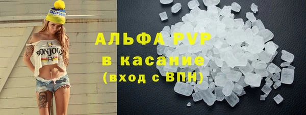 мяу мяу мука Гусь-Хрустальный
