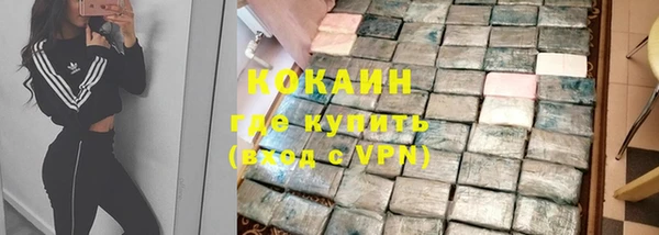 шишки Гусиноозёрск
