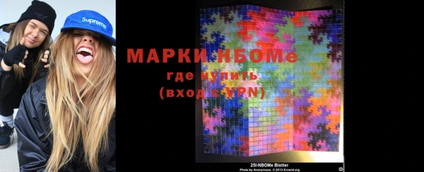 шишки Гусиноозёрск