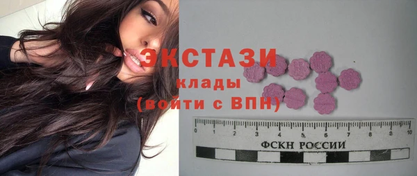 шишки Гусиноозёрск