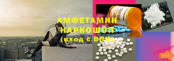шишки Гусиноозёрск