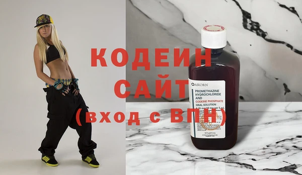 шишки Гусиноозёрск