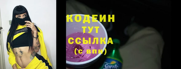 шишки Гусиноозёрск