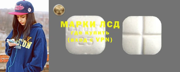 шишки Гусиноозёрск