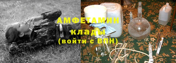 шишки Гусиноозёрск