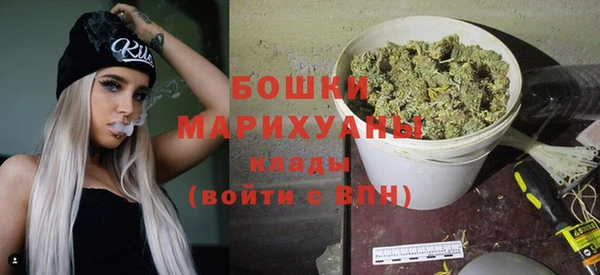 шишки Гусиноозёрск