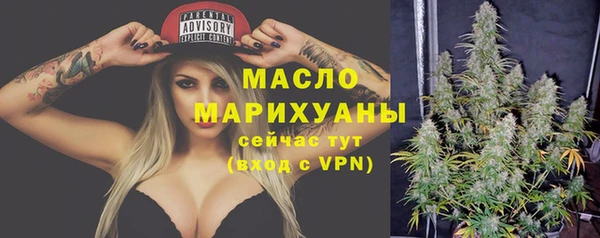 мяу мяу мука Гусь-Хрустальный