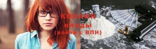 шишки Гусиноозёрск